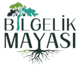 Bilgelik Mayası
